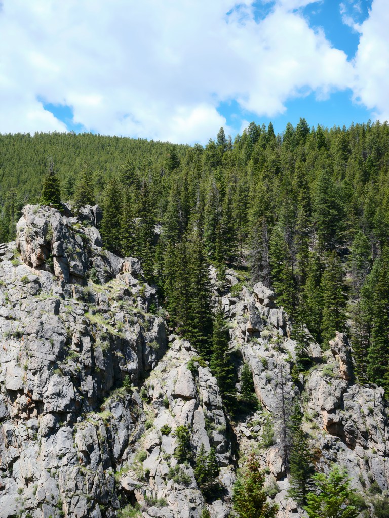 Arapaho National Forest