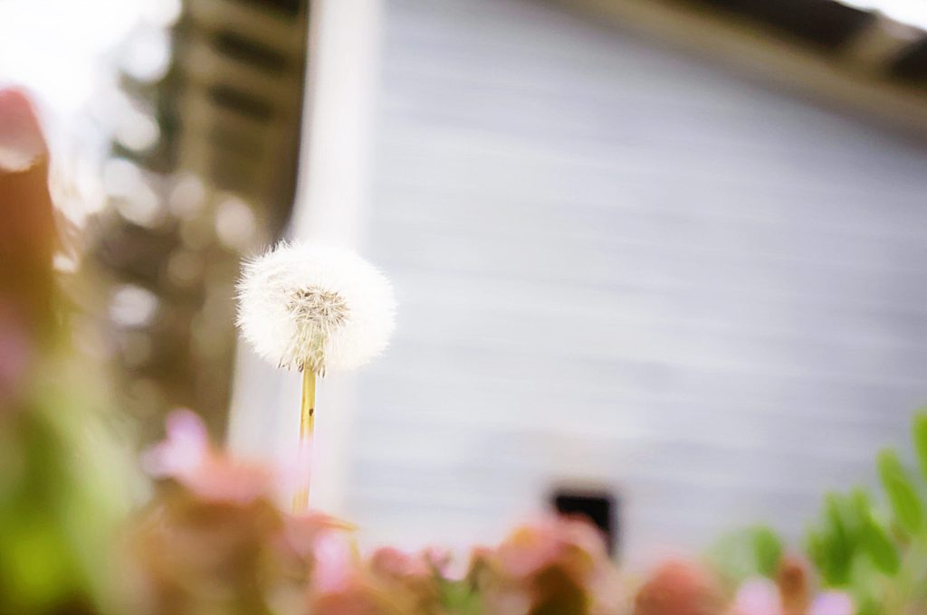 Atlanta fine art photographer